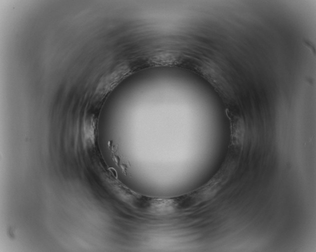 X0000103410334200809191551