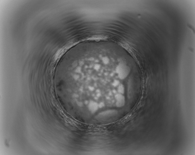 X0000103410337200809191550