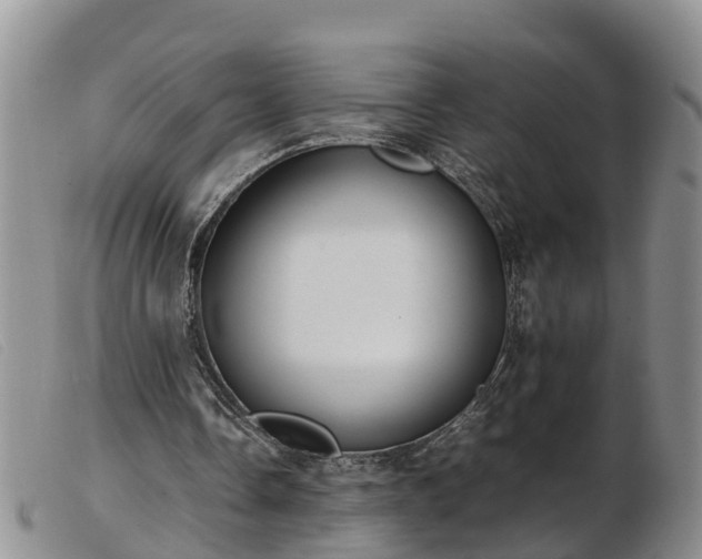 X0000103410338200809191550