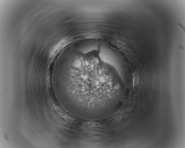 X0000103410339200809191550