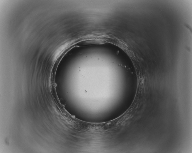 X0000103410340200809191550