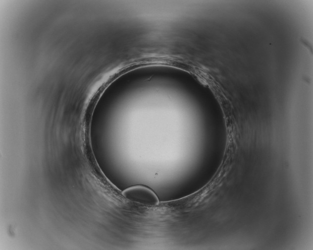 X0000103410342200809191550