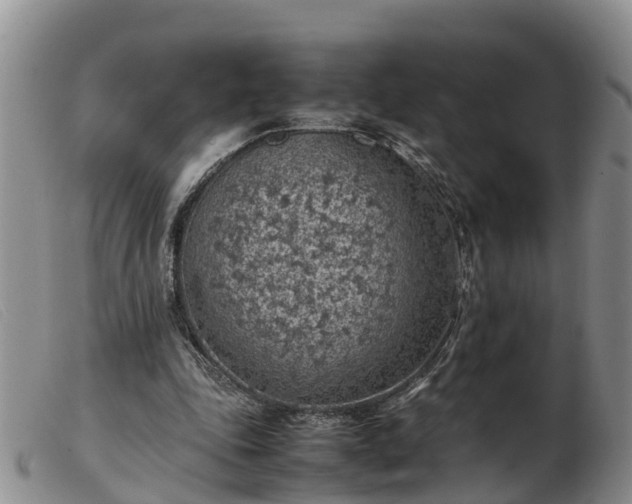 X0000103410343200809191550