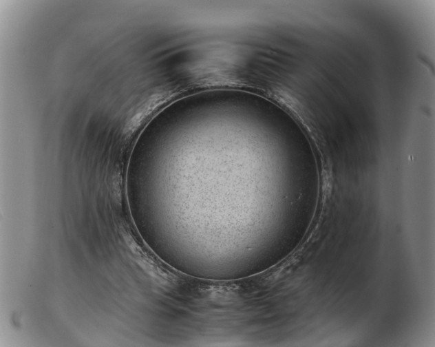 X0000103410345200809191550