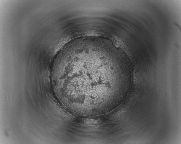 X0000103410347200809191550