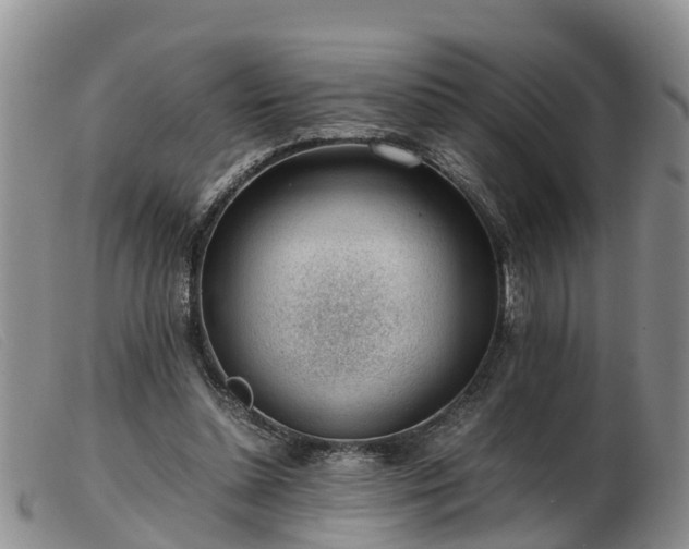 X0000103410348200809191550