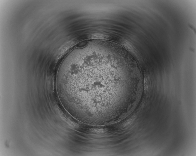 X0000103410349200809191550