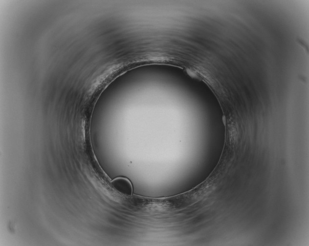 X0000103410350200809191550