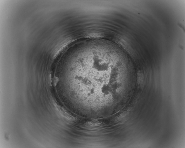 X0000103410351200809191550