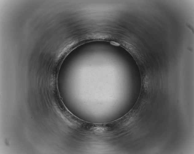 X0000103410352200809191550