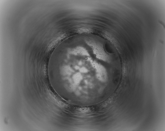 X0000103410353200809191550