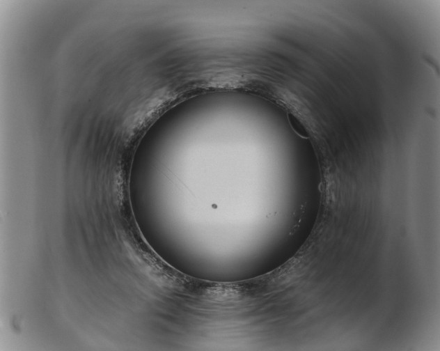 X0000103410354200809191550