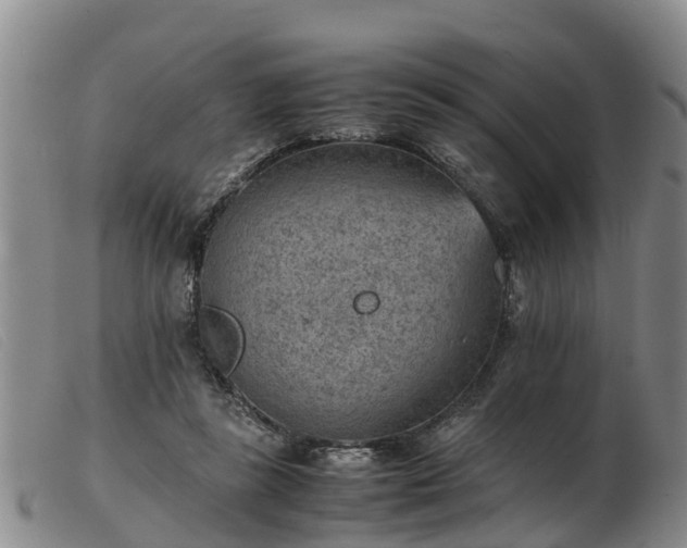 X0000103410355200809191550