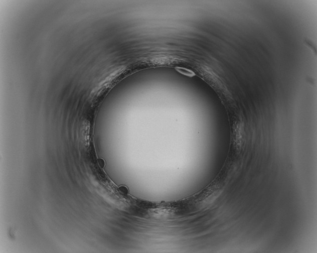 X0000103410356200809191550