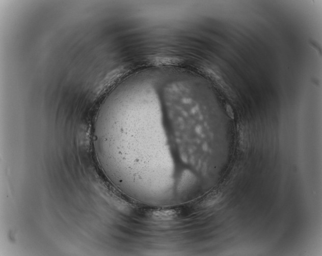 X0000103410357200809191550