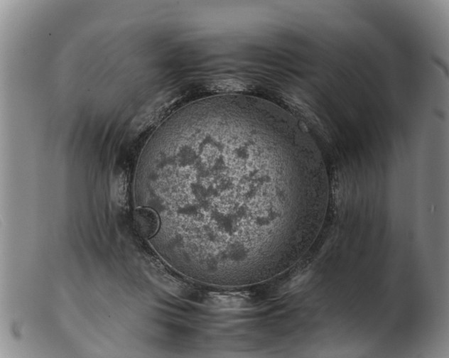 X0000103410359200809191550