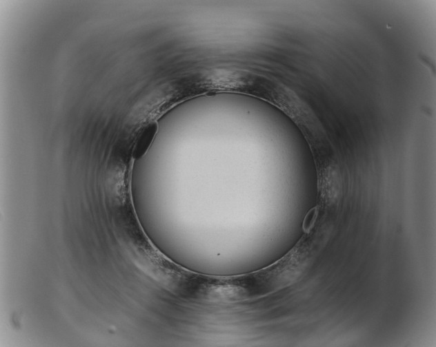 X0000103410360200809191550