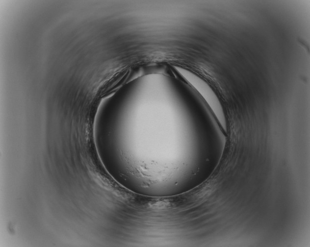 X0000103410362200809191550