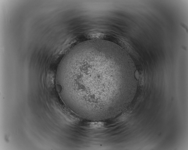 X0000103410363200809191550