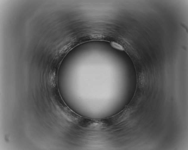 X0000103410364200809191550