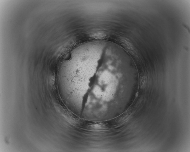 X0000103410365200809191550