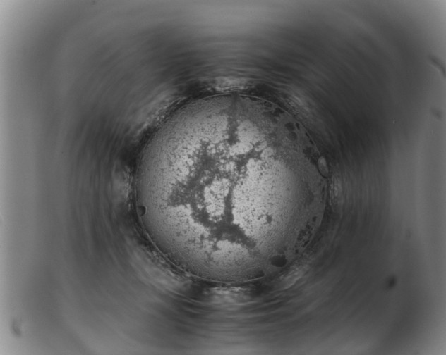 X0000103410367200809191550