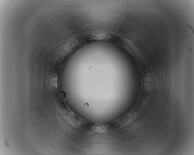 X0000103410368200809191551