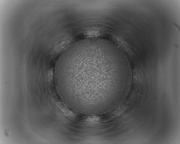 X0000103410369200809191551