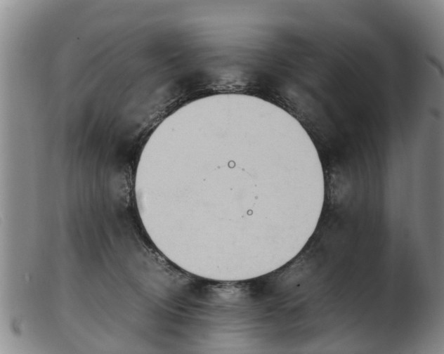 X0000103410370200809191551