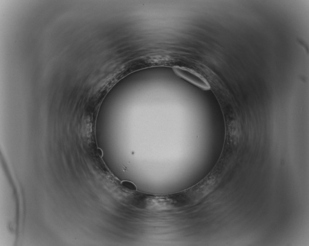 X0000103410372200809191551