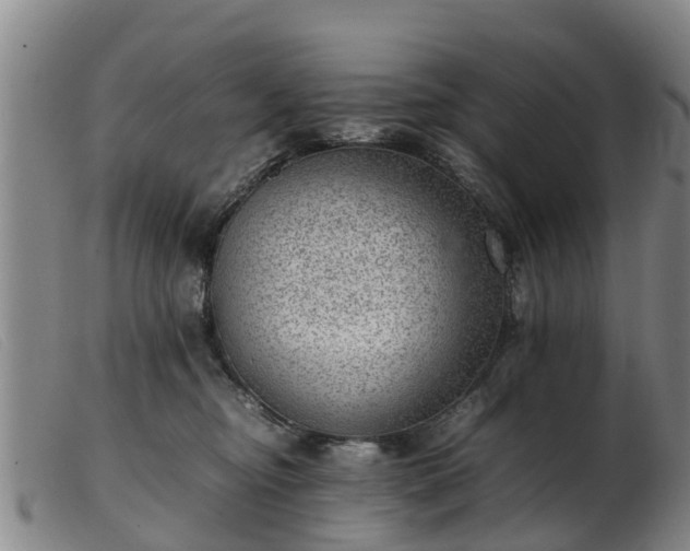 X0000103410374200809191551