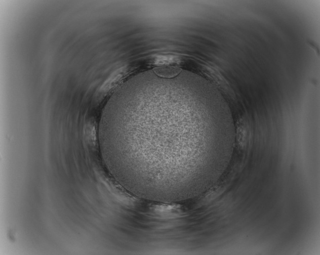 X0000103410375200809191551