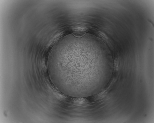 X0000103410377200809191551