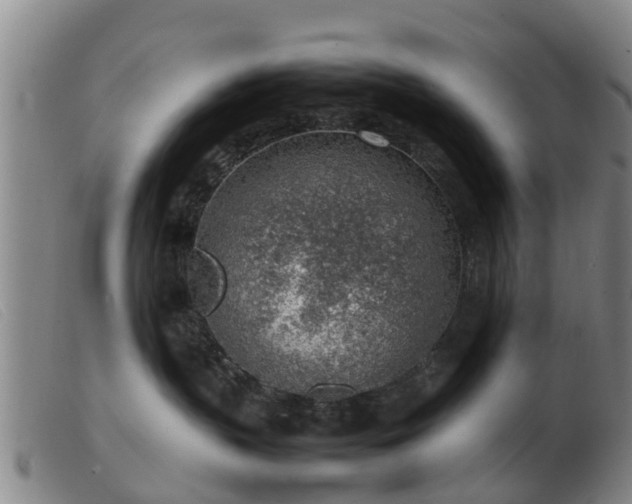 X0000103410383200809191551