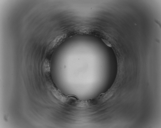 X0000103410384200809191551