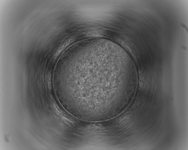 X0000103410386200809191550