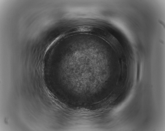 X0000103410387200809191550