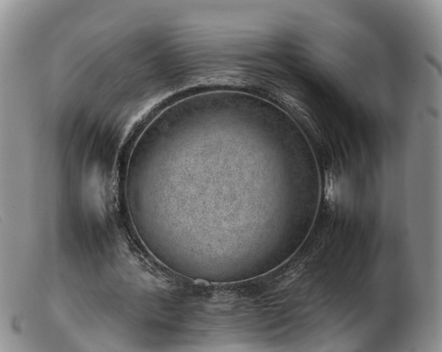 X0000103410388200809191550