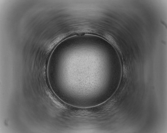 X0000103410389200809191550