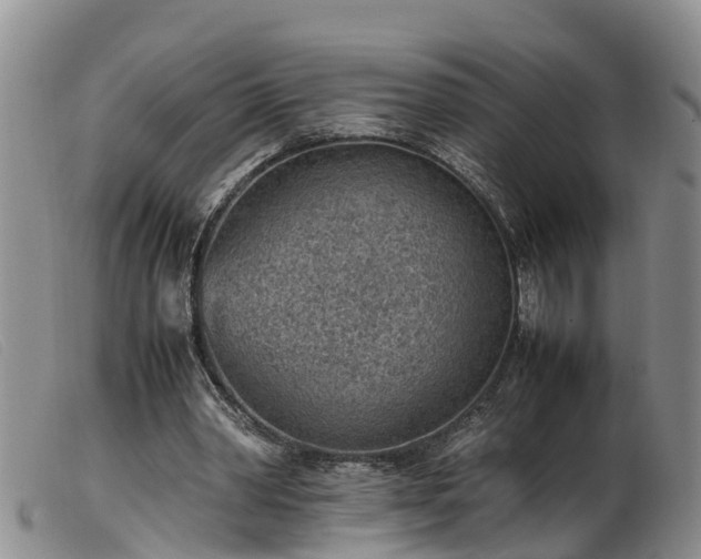 X0000103410390200809191550