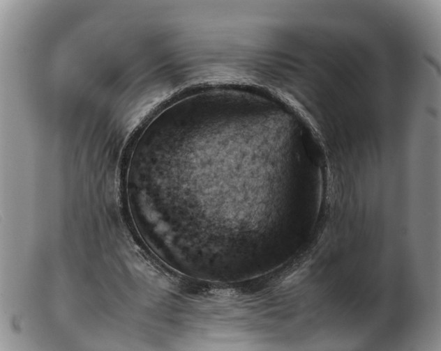 X0000103410391200809191550