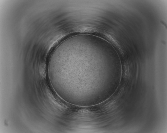 X0000103410392200809191550