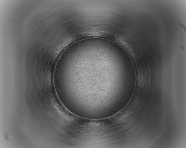 X0000103410394200809191550