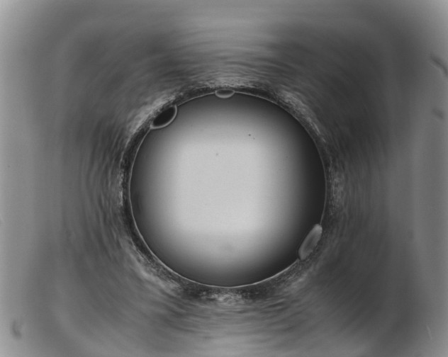 X0000103410395200809191550