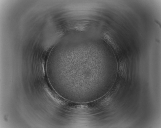 X0000103410398200809191550