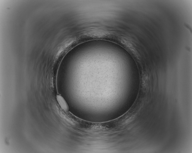 X0000103410399200809191550