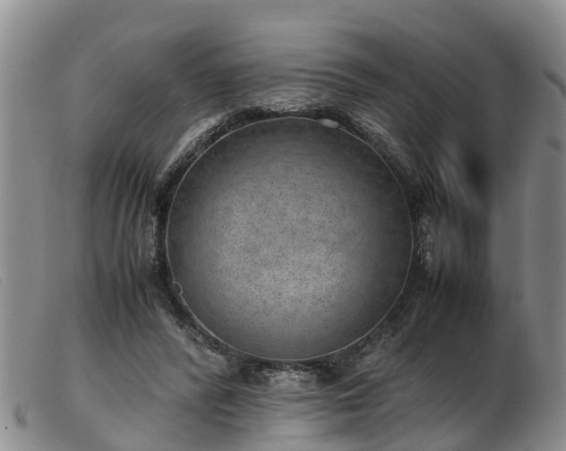 X0000103410400200809191550