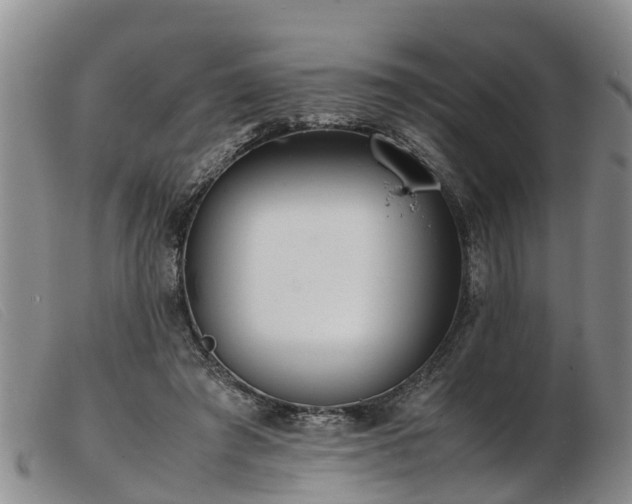 X0000103410401200809191550