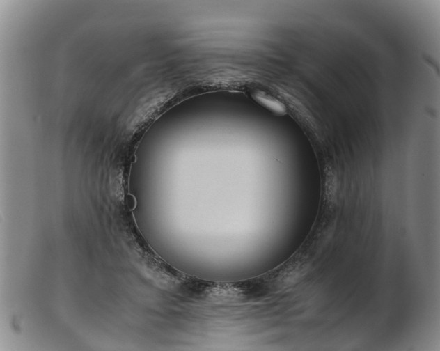 X0000103410403200809191550