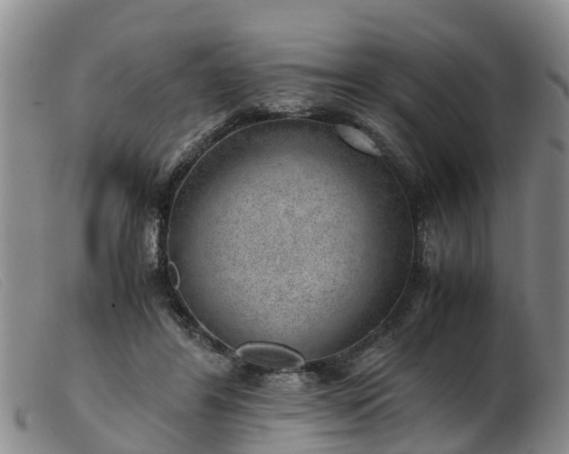 X0000103410404200809191550